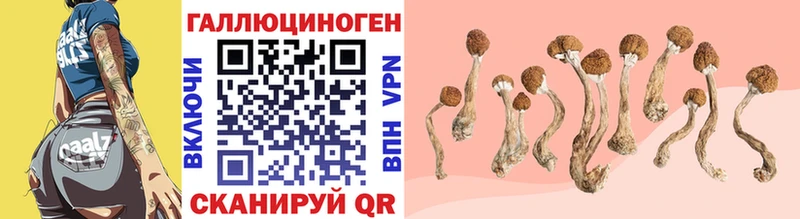 kraken онион купить Покровск Псилоцибиновые грибы Magic Shrooms